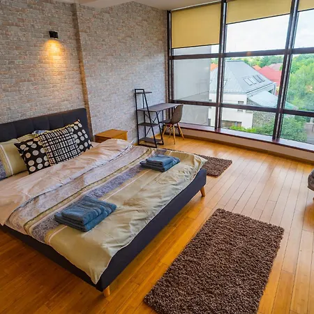 Amazing Views - Charming Penthouse & Aparment * Boekarest